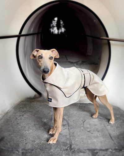 THE ELSA Trench Raincoat - Greyhound Size