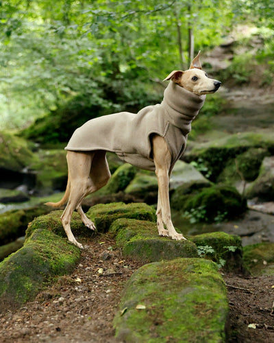 THE BERRY Premium Fleece Whippet Jumper