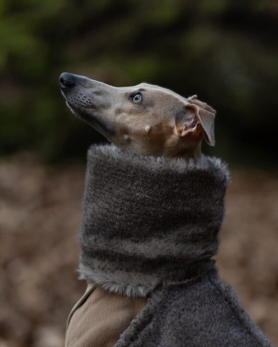 THE PANDORA Jumper - Iggy Size