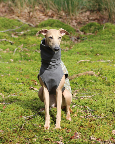 The OPAL Whippet Jumper