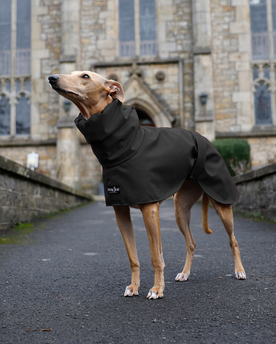 THE ELSA Lightweight, Water Resistant, Whippet Raincoat