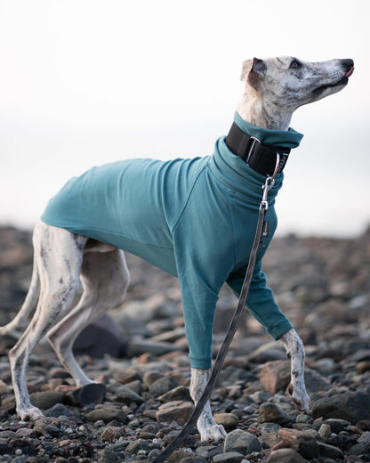 THE CAIRO Whippet Jumper (Blues)