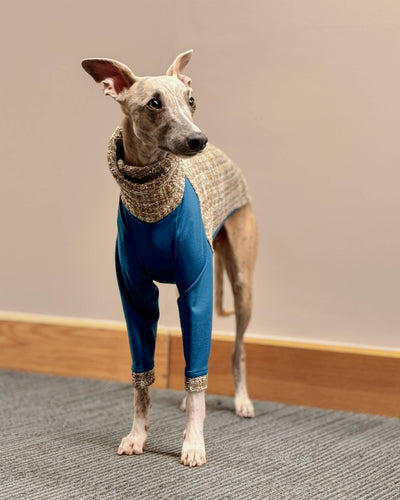 The OPAL Jumper - Greyhound Size