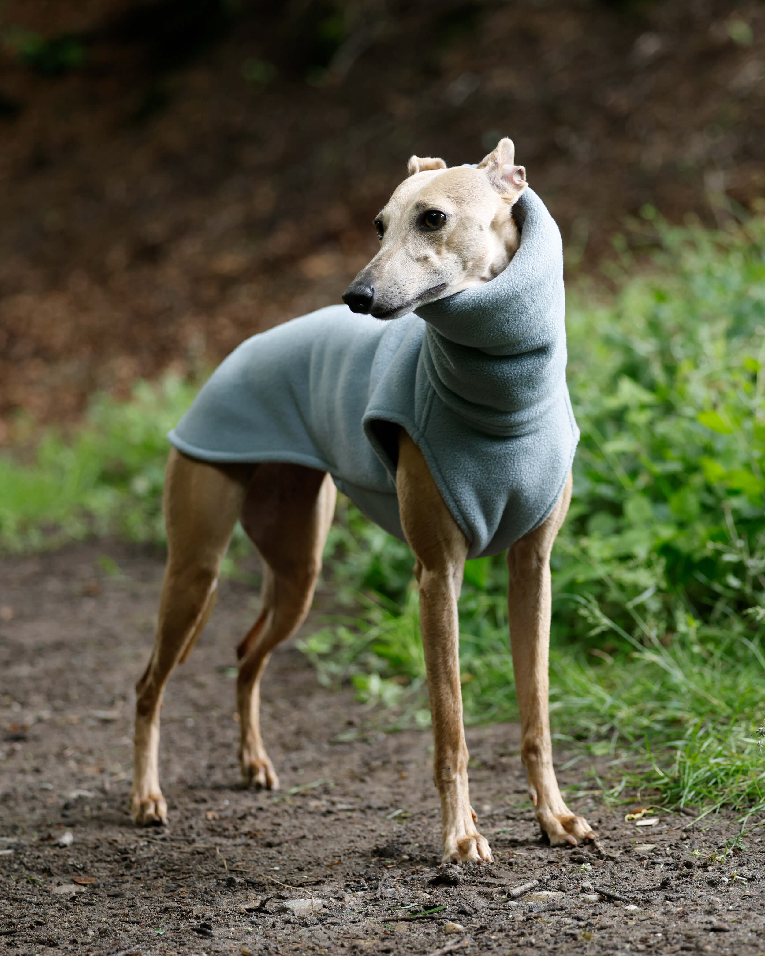THE BERRY Premium Fleece Jumper - Greyhound Size