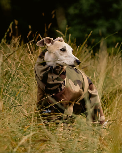 THE DINO Lightweight Camouflage, Water Resistant, Whippet Raincoat