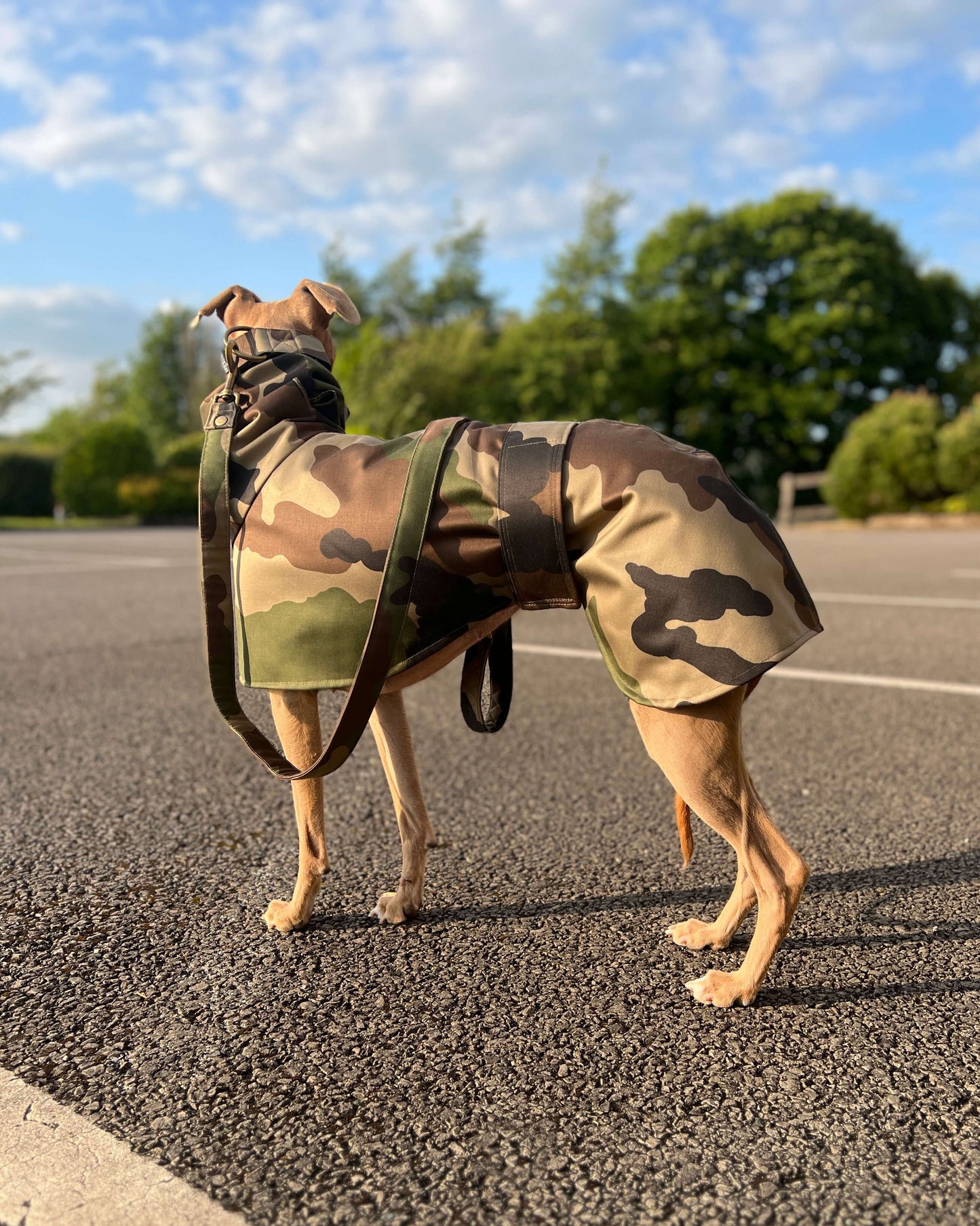 THE DINO Lightweight Camouflage, Water Resistant, Whippet Raincoat