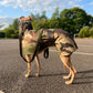 THE DINO Lightweight Camouflage, Water Resistant Raincoat - Greyhound Sizes
