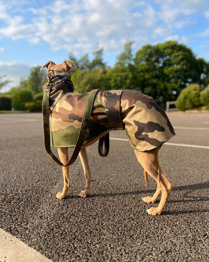 THE DINO Lightweight Camouflage, Water Resistant, Raincoat - Iggy Sizes