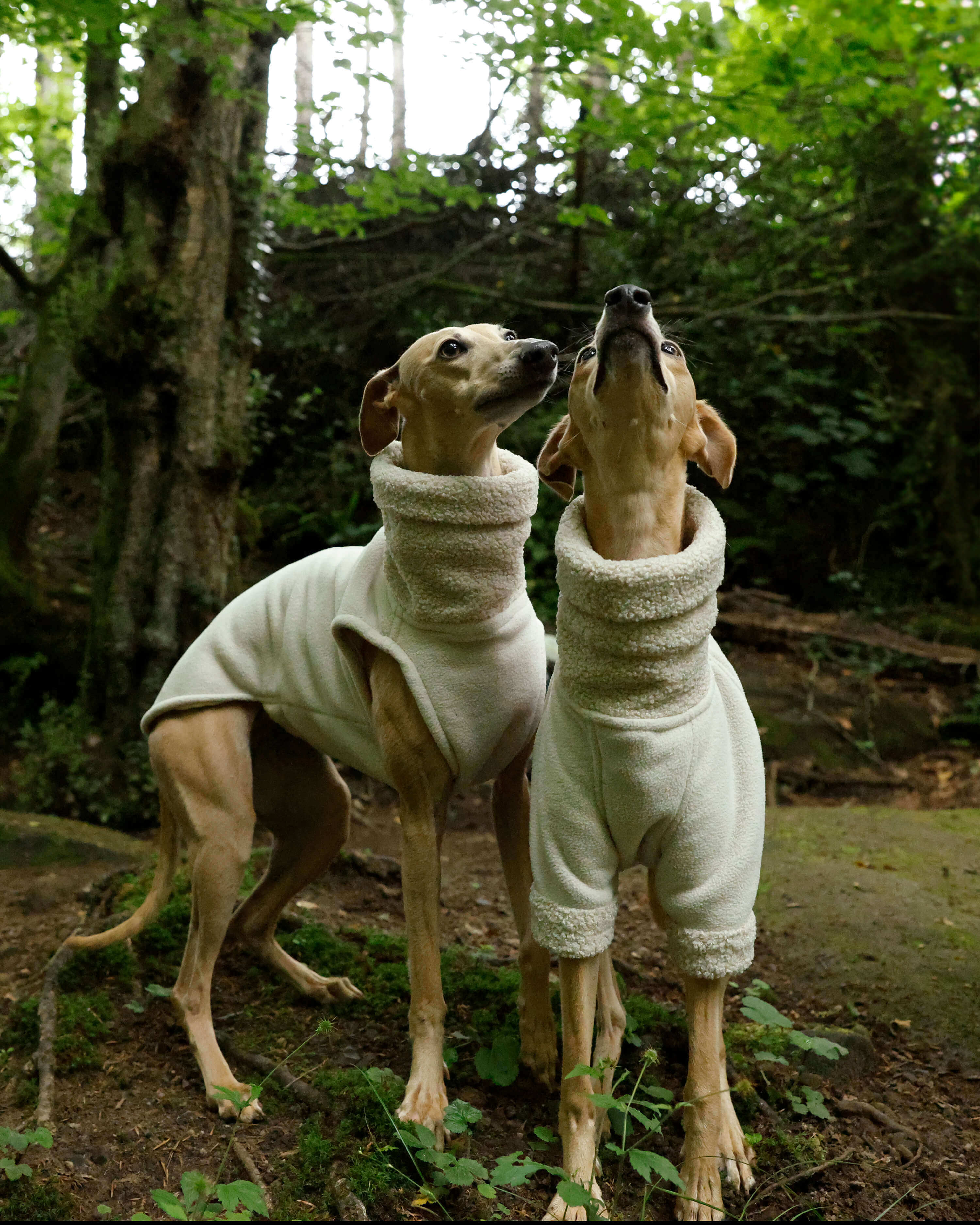 THE BERRY Premium Fleece Jumper - Greyhound Size