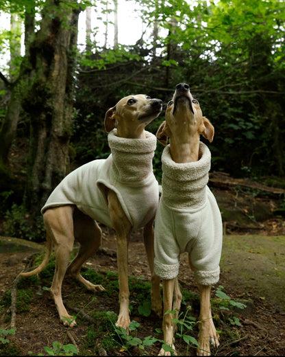 THE BERRY Short Sleeved Premium Fleece Jumper - Iggy Size
