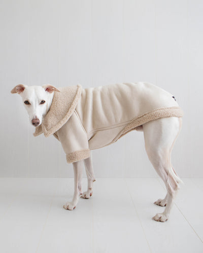 THE ANUBIS Flying Jacket - Greyhound Size