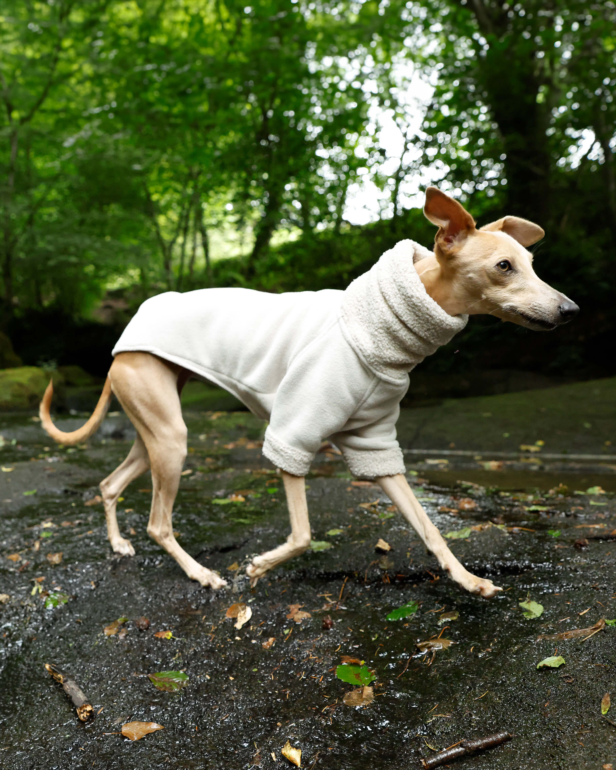 THE BERRY Short Sleeved Premium Fleece Jumper - Greyhound Size