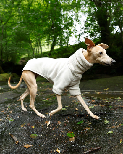THE BERRY Short Sleeved Premium Fleece Jumper - Iggy Size