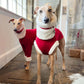 Christmas Jumper - Greyhound Sizes