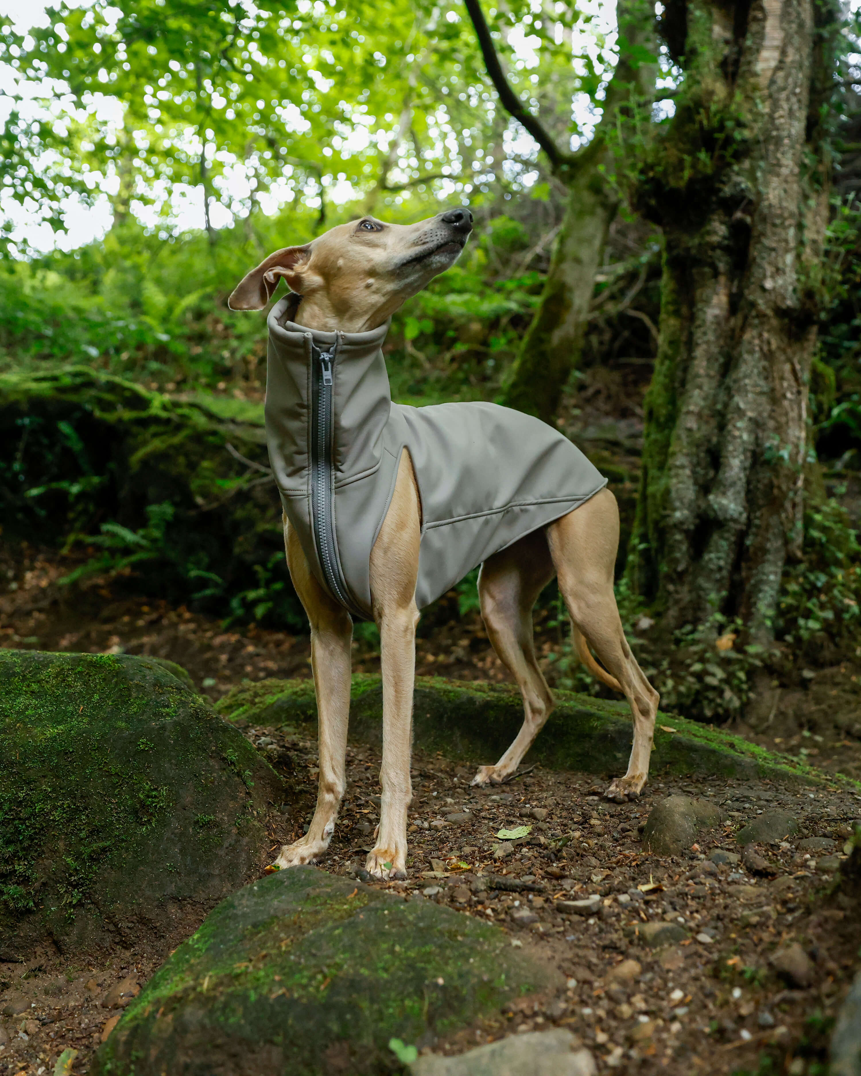 THE RAYE Rain Jacket - Greyhound Size