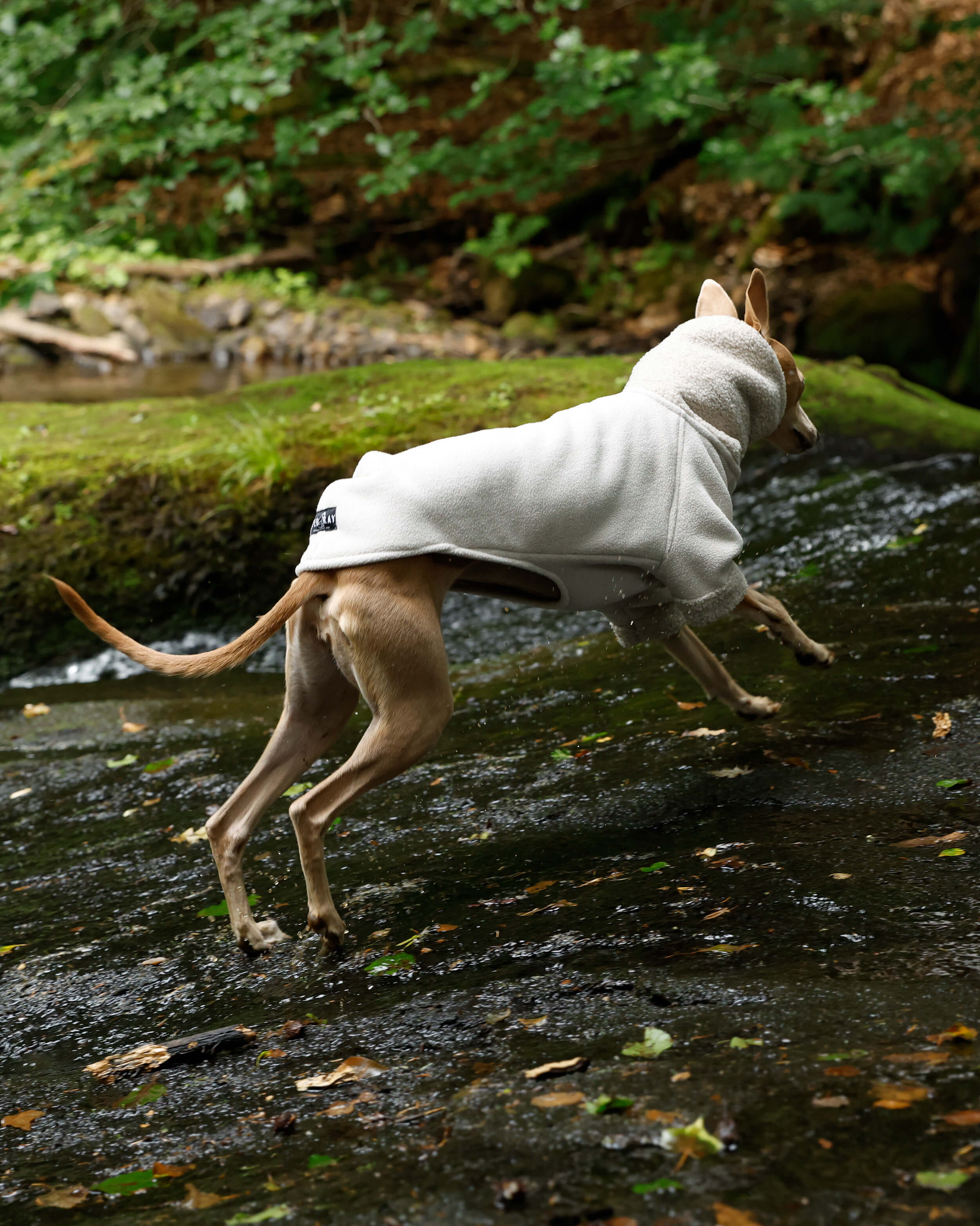 THE BERRY Short Sleeved Premium Fleece Jumper - Greyhound Size