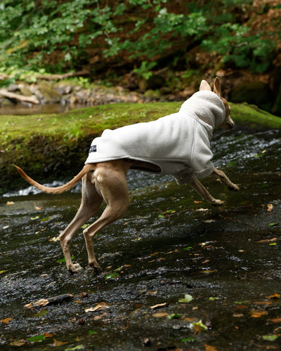 THE BERRY Short Sleeved Premium Fleece Whippet Jumper