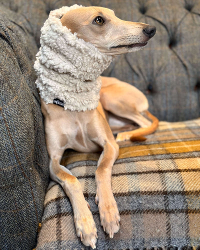THE DRUNA Sighthound Snood