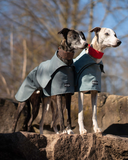 THE ELSA Whippet Trench Raincoat - Earthy tones