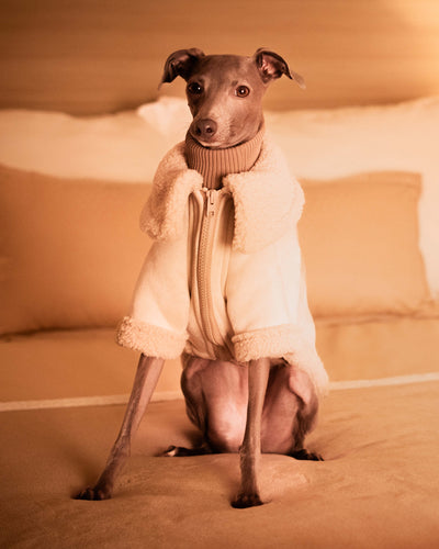 THE ANUBIS Flying Jacket - Iggy Size