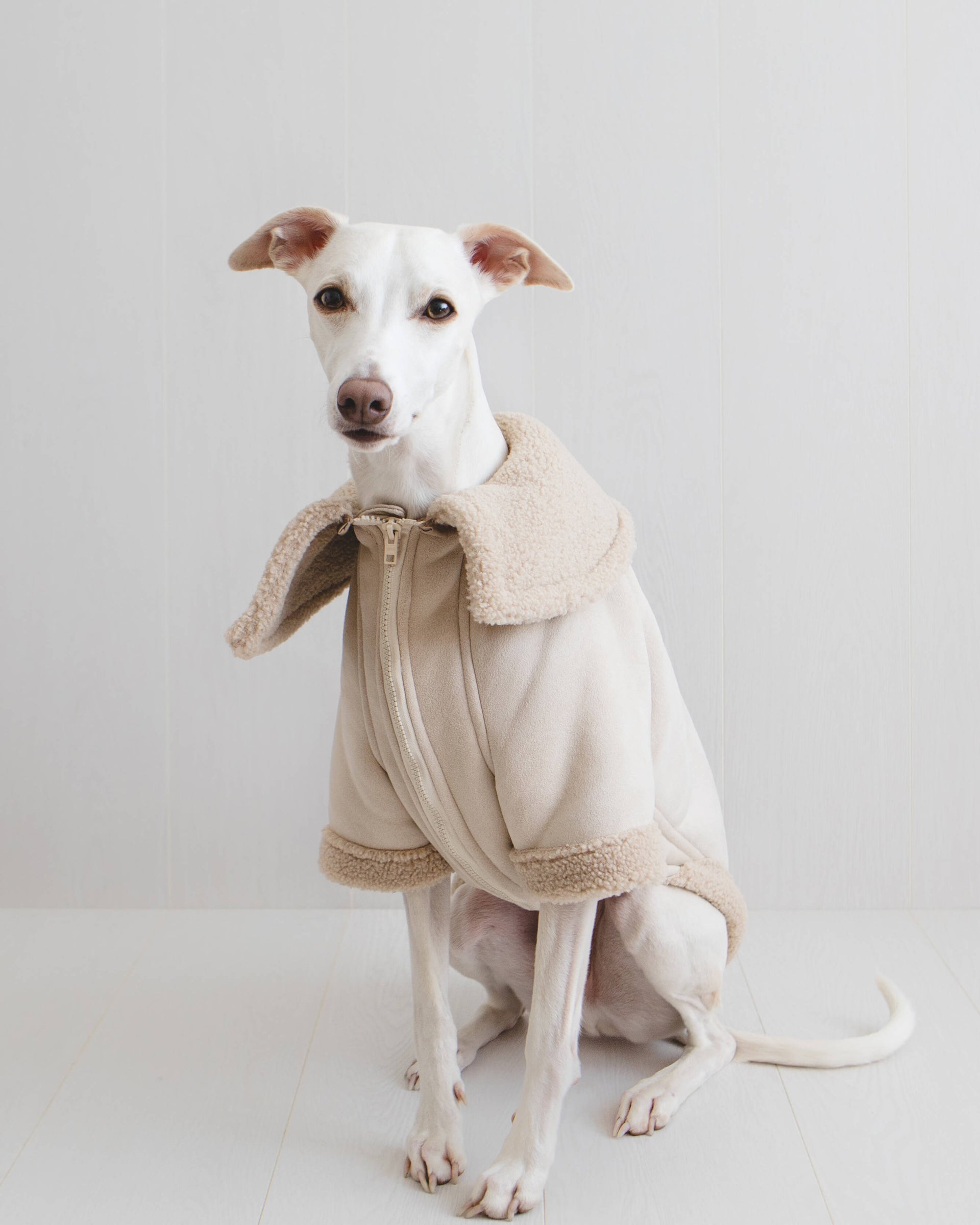 THE ANUBIS Flying Jacket Greyhound Size S Slim Cream Without