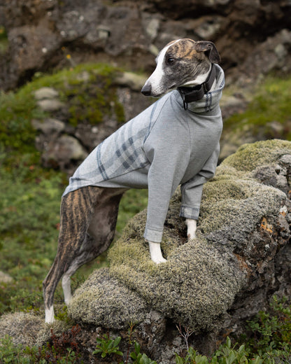 The MARV Whippet Jumper