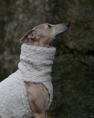 THE DRUNA Jumper - Greyhound Size
