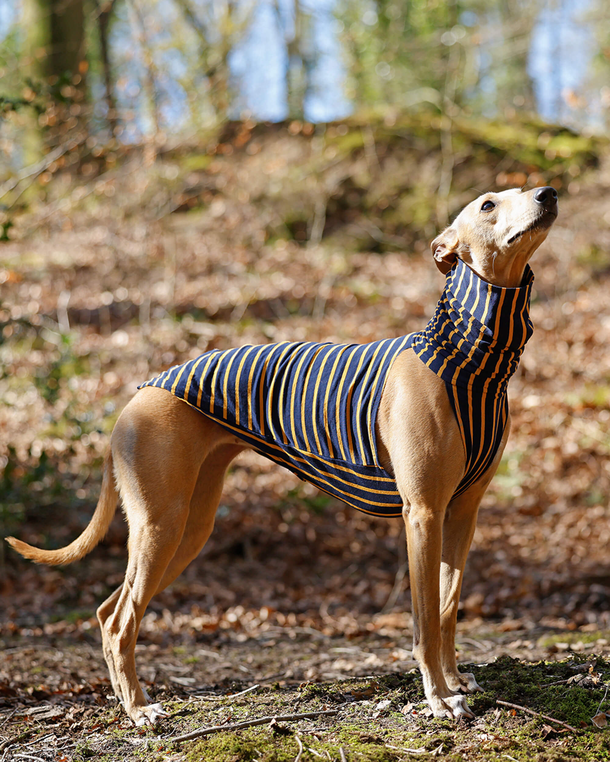 THE WILBERT Stripy T-Shirt Jumper - Greyhound Size