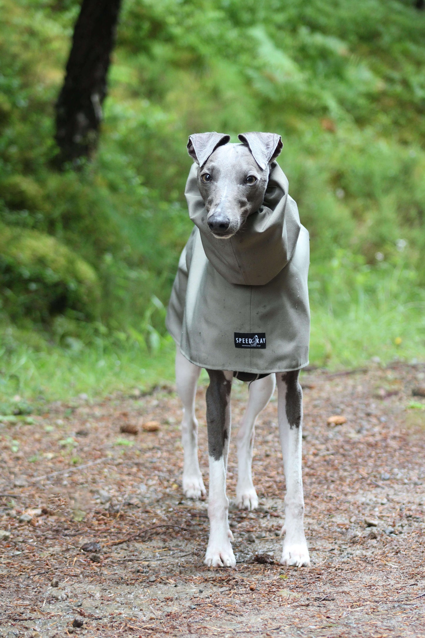 THE ELSA Lightweight, Water Resistant, Whippet Raincoat - Earthy tones