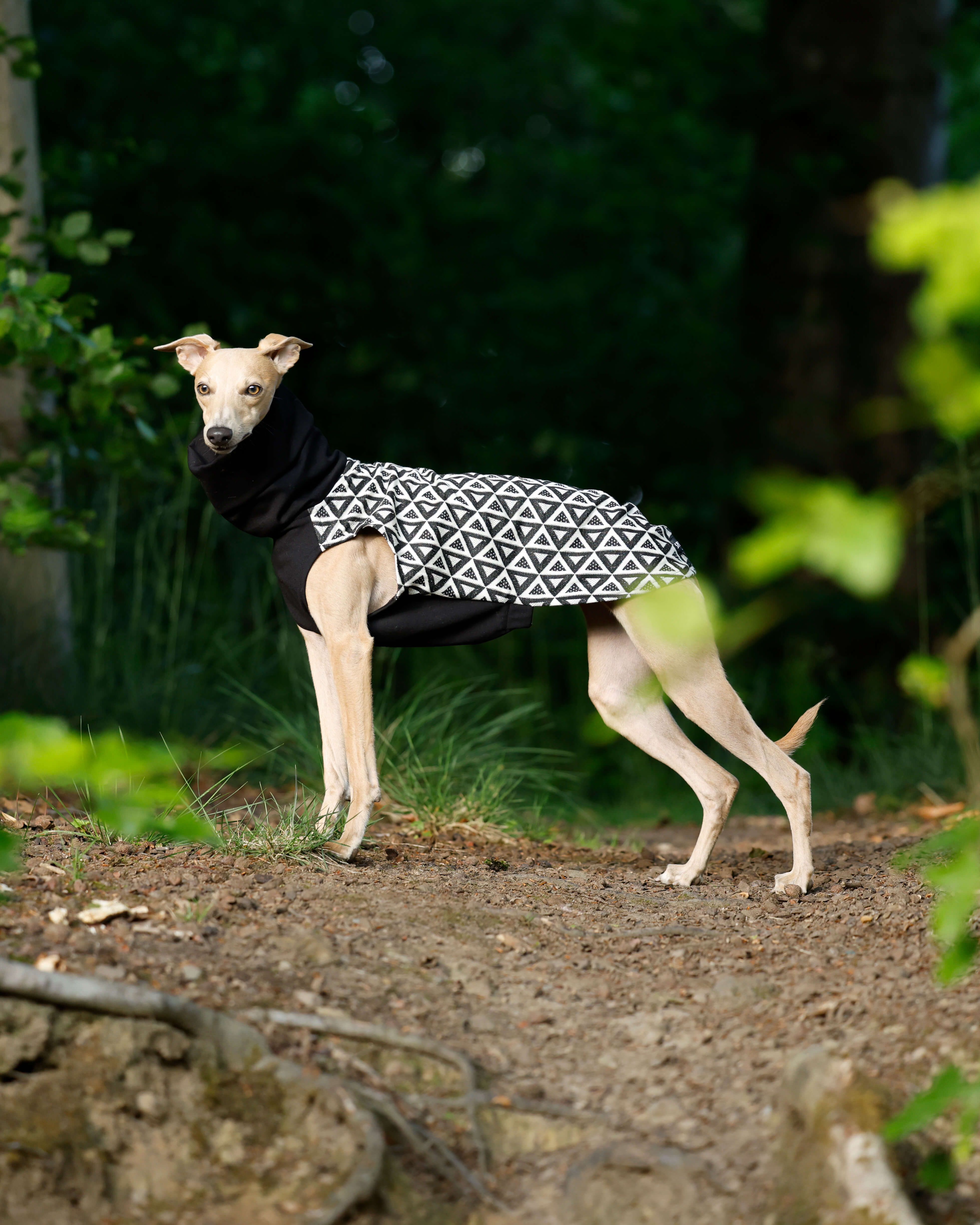 THE MILLIE ESMEE Jumper - Greyhound Size