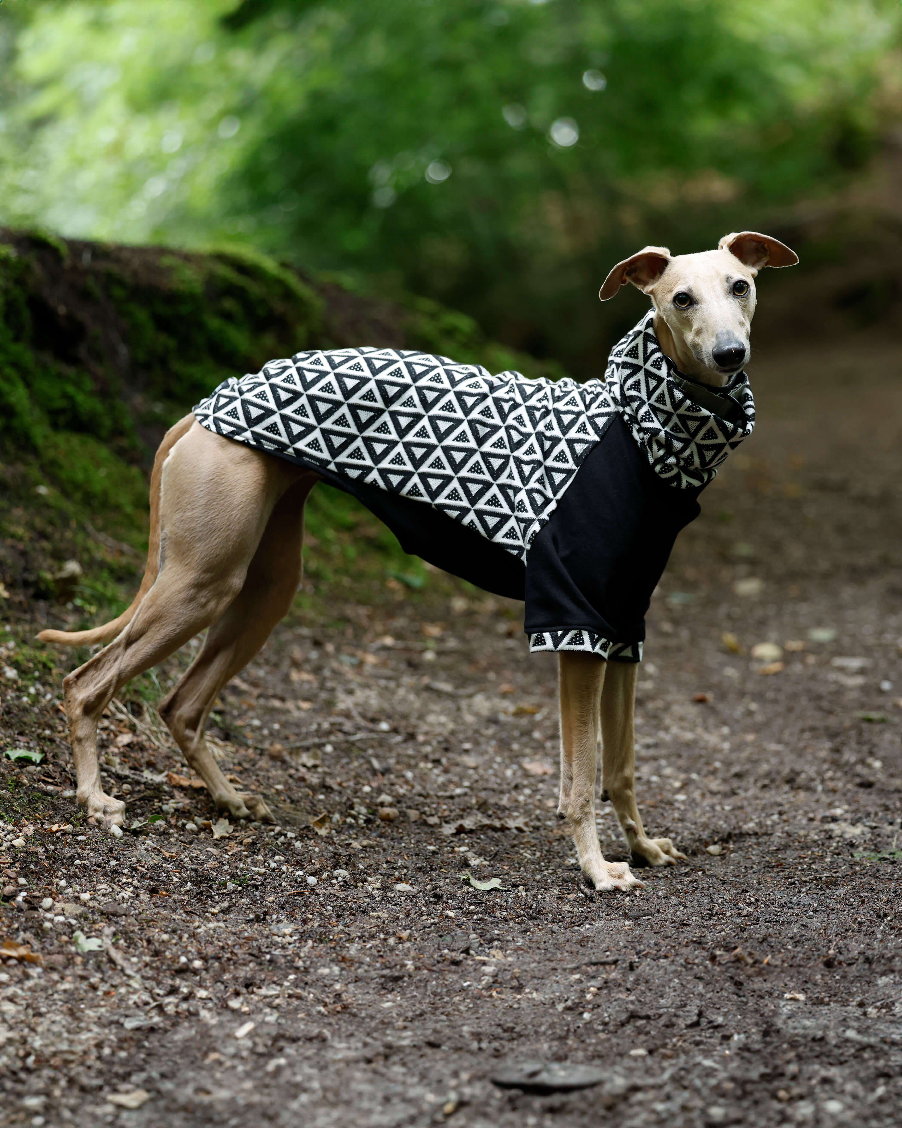 THE MILLIE ESMEE Jumper - Greyhound Size