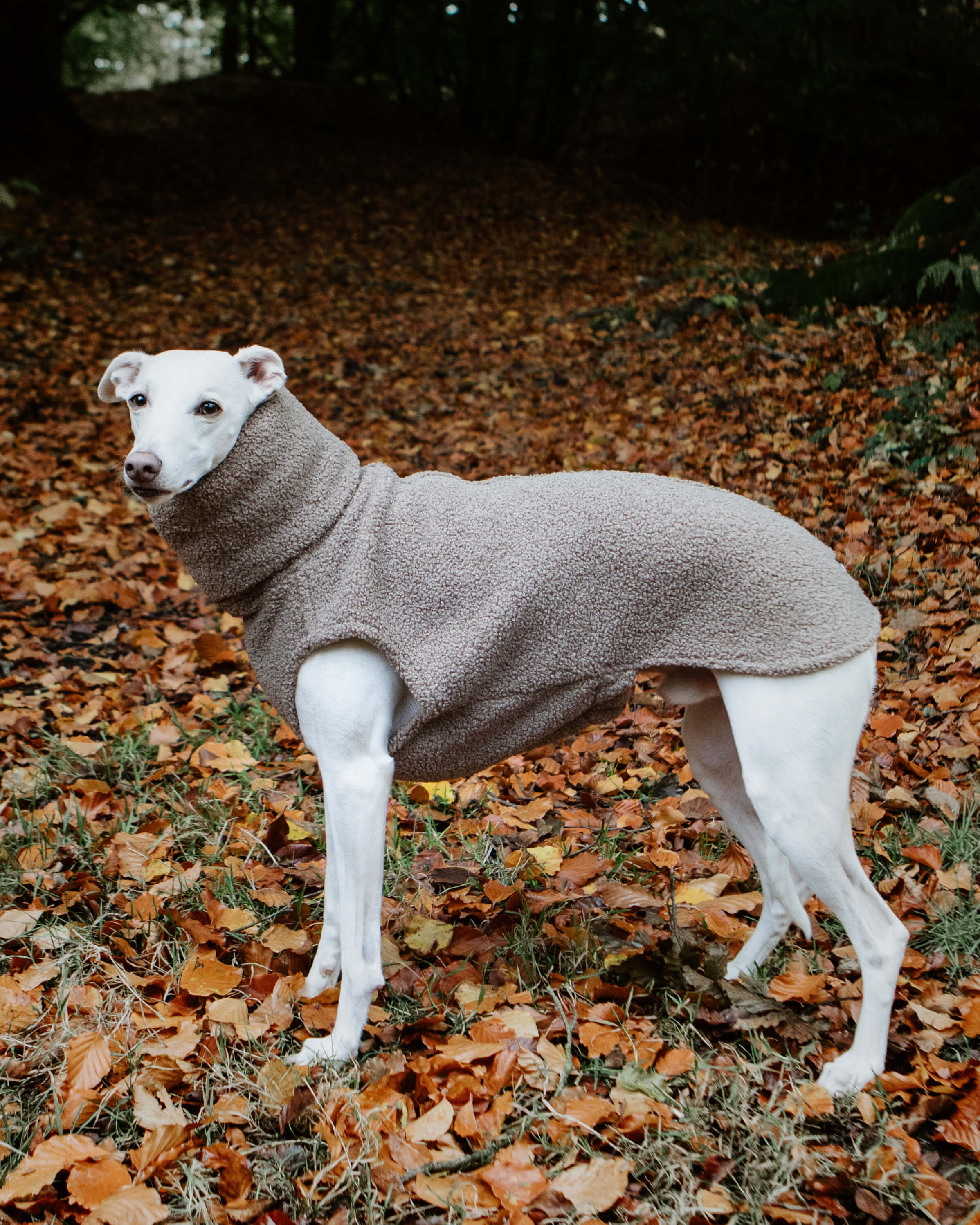 THE BERRY Premium Fleece Whippet Jumper
