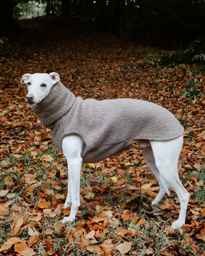 THE BERRY Premium Fleece Whippet Jumper