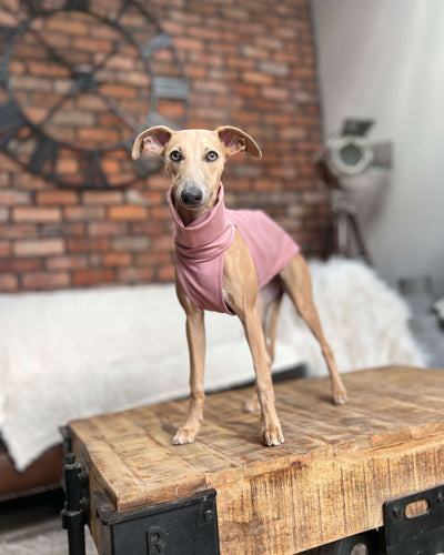 THE POSY Halter Neck Whippet Jumper