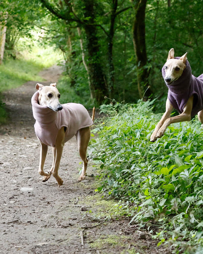 THE BERRY Premium Fleece Whippet Jumper
