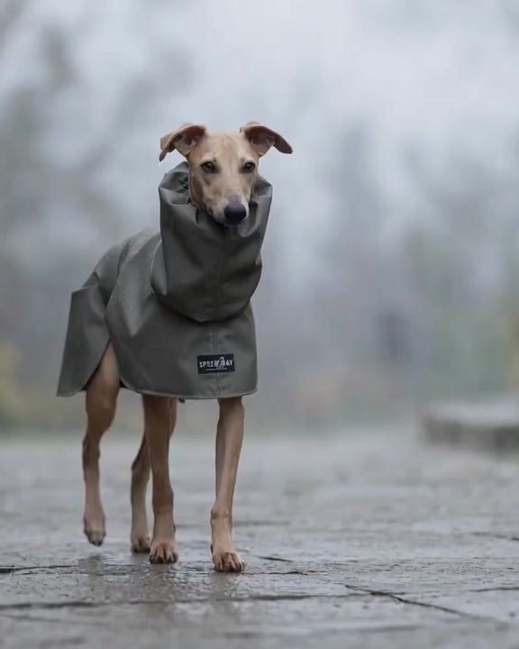 Load video: THE ELSA Lightweight, Water Resistant, Whippet Raincoat
