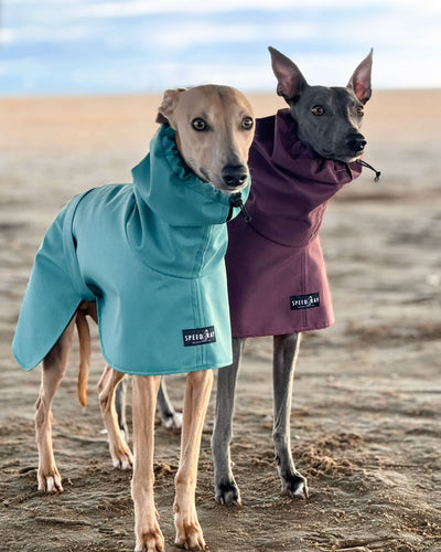 THE ELSA Lightweight, Water Resistant, Whippet Raincoat