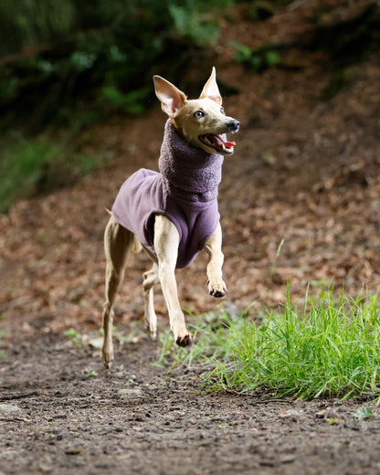 THE BERRY Premium Fleece Jumper - Iggy Size