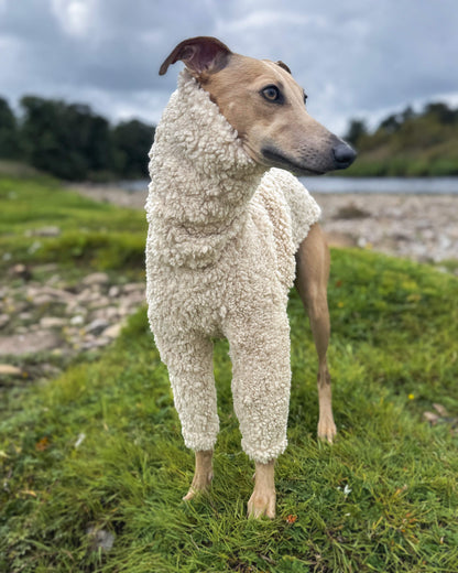 THE DRUNA Whippet Jumper