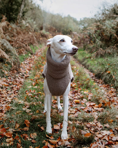 THE BERRY Premium Fleece Whippet Jumper