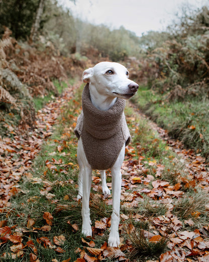 THE BERRY Premium Fleece Whippet Jumper