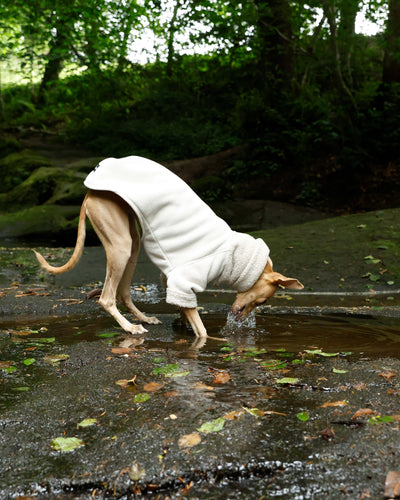 THE BERRY Short Sleeved Premium Fleece Whippet Jumper