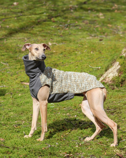 Size Guide, Italian Greyhound Clothing