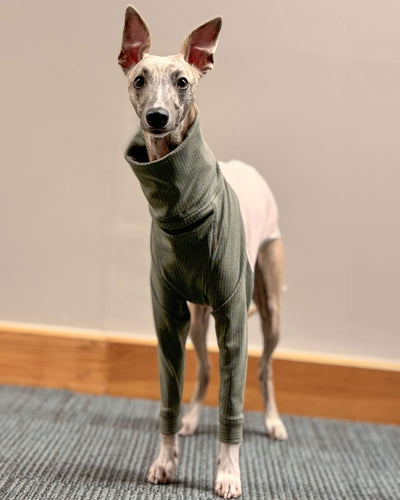 THE ENZO Jumper - Iggy Size
