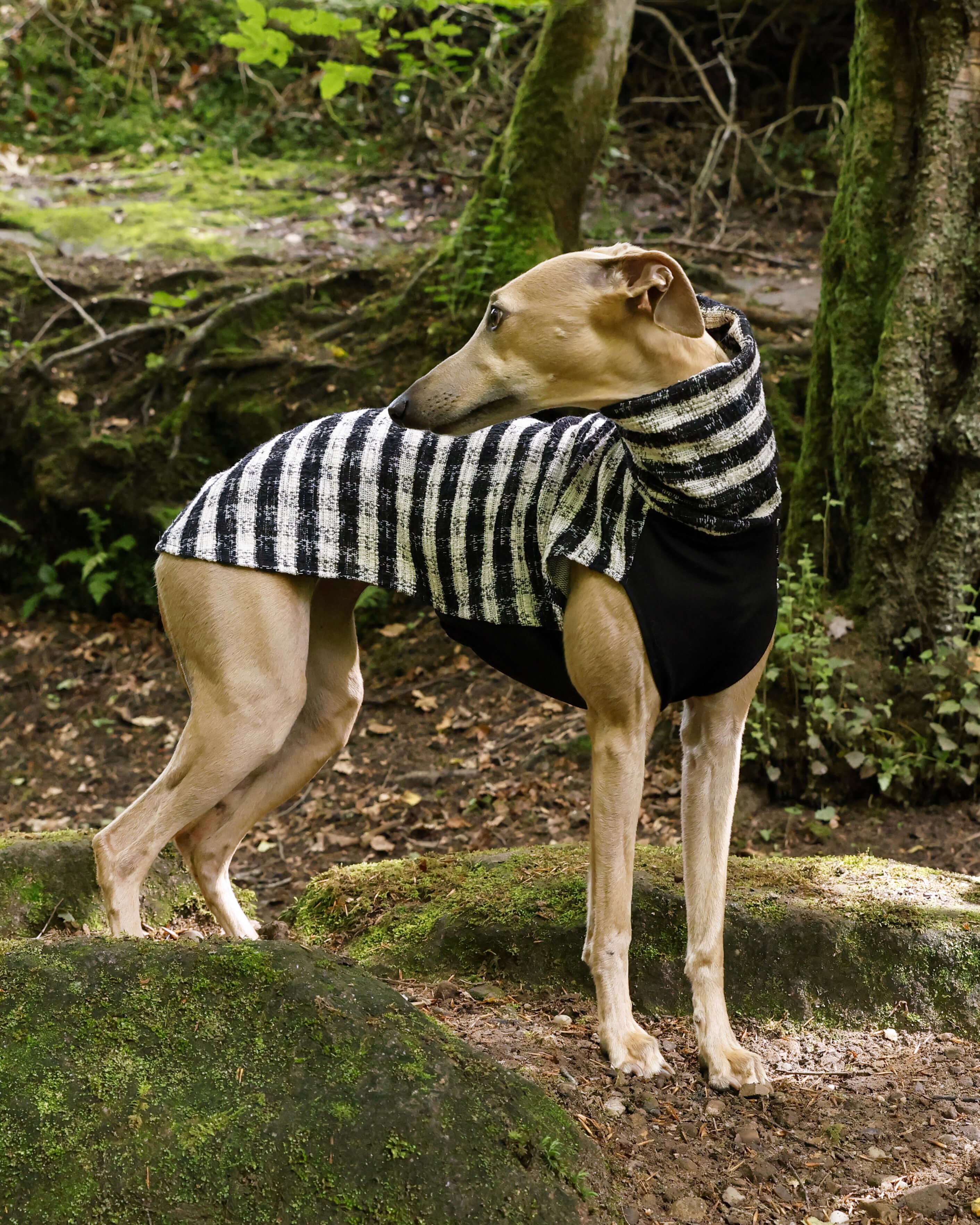 THE MILLIE ESMEE Jumper - Greyhound Size