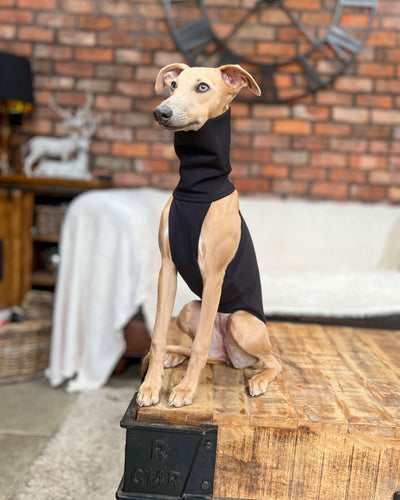 THE POSY Halter Neck Whippet Jumper