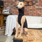 THE POSY Halter Neck Jumper - Greyhound Sizes
