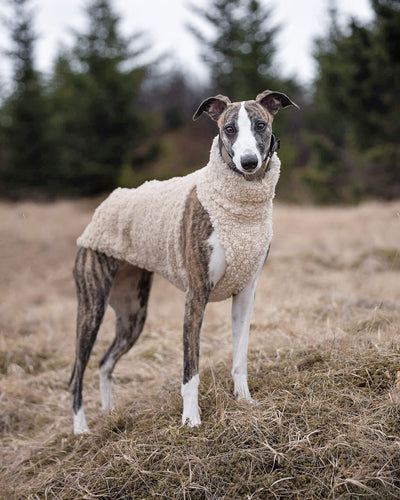 THE DRUNA Whippet Jumper