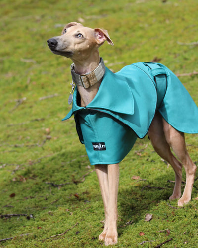THE ELSA Trench Raincoat - Greyhound Size