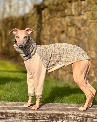 The OPAL Whippet Jumper